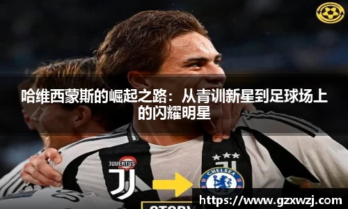 evo视讯登录入口.evo视讯官方网站