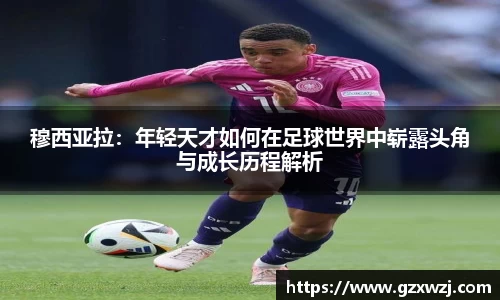 evo视讯官网